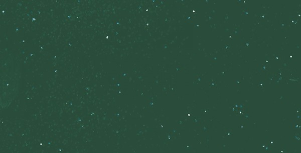Polydach und Bug Dark Green Metallic
